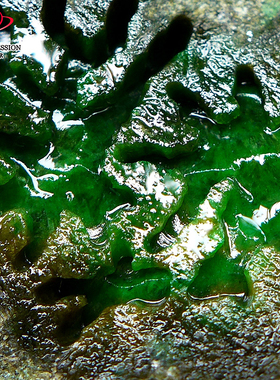 豪8印象Z26260G120色料老坑好种毛料玉缅甸天然翡翠原石2552.23g