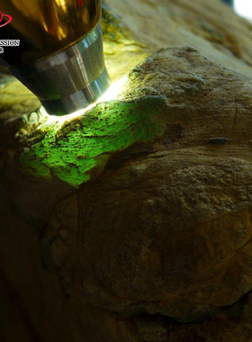 豪8印象Z26398G113脱沙有种有色老坑木那缅甸翡翠原石3335.03g