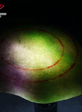 豪8印象Z26020G302春彩毛料玉石珠宝奇石 缅甸天然翡翠原石650g