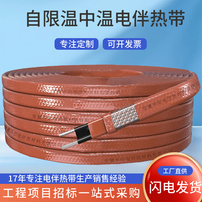 防爆管道热线防冻伴热带自控温