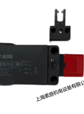 Pizzato意大利原装进口安全门锁开关FS 2996D024-F3M2