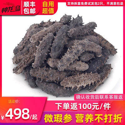 神龙岛自用型淡干海参250g