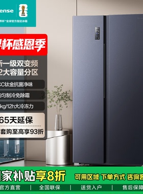 海信611L对开双开门大容量冰箱风冷无霜 HISENSE BCD-611WFK1DPQ