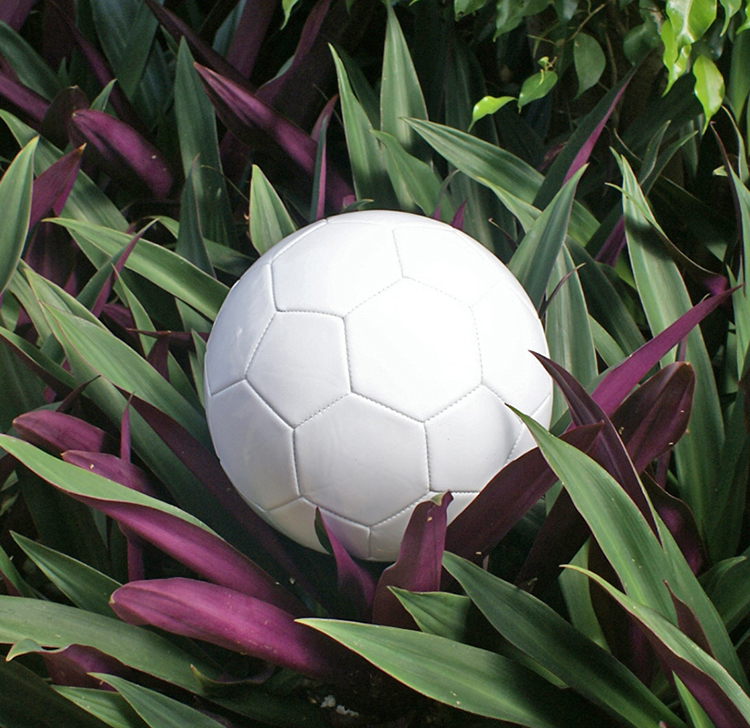 Ballon de football - Ref 5263 Image 2