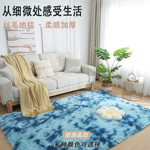 北欧ins加厚地毯卧室飘窗毯床边毯客厅满铺少女简约丝毛扎染地毯