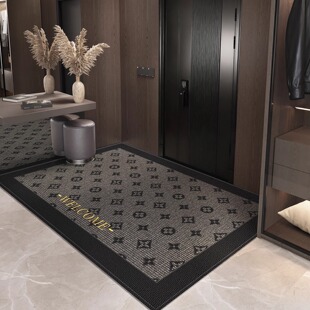 入户门地垫2025新款高级轻奢脚踏垫大门口地毯客厅防滑脚垫进门垫