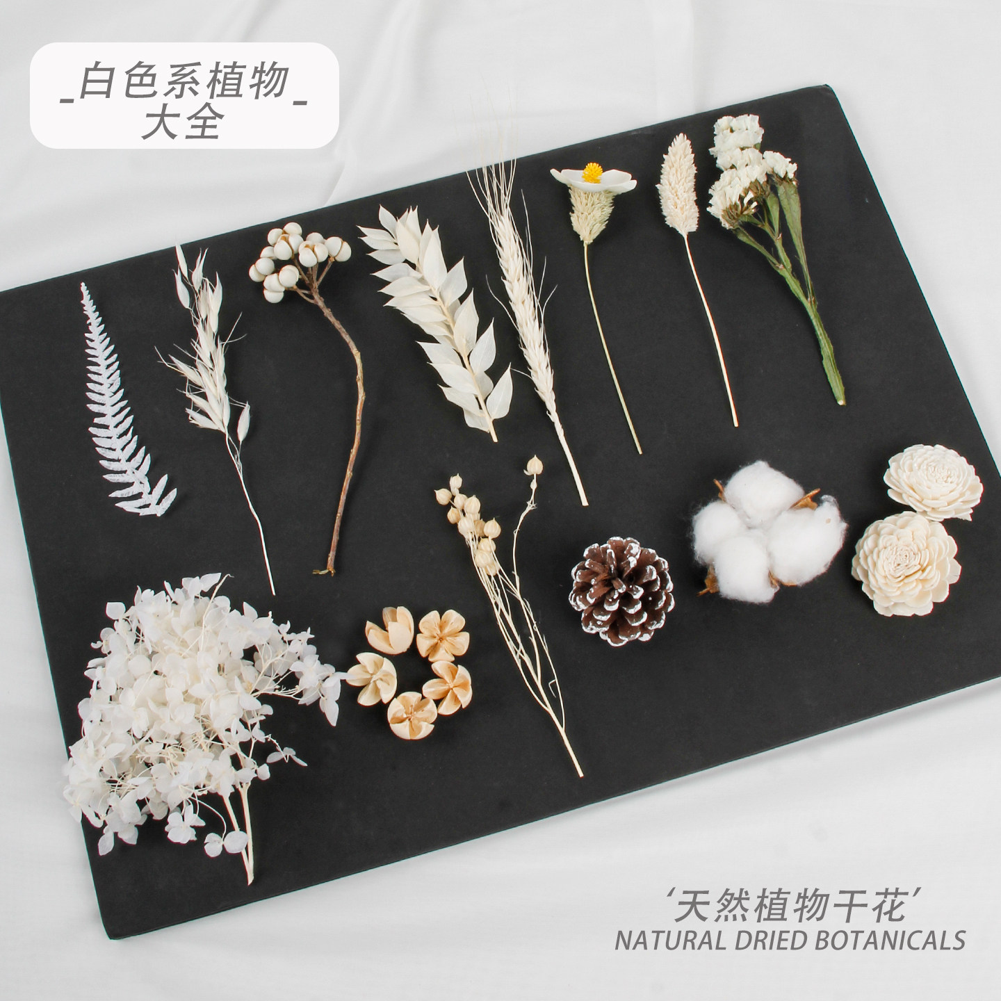 天然风干白色永生花植物干花diy材料手工戒指迷你屋装饰生日礼物图片