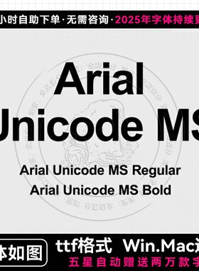 Arial Unicode MS 2款中英文字体包ttf SolidWorks工程图缺字