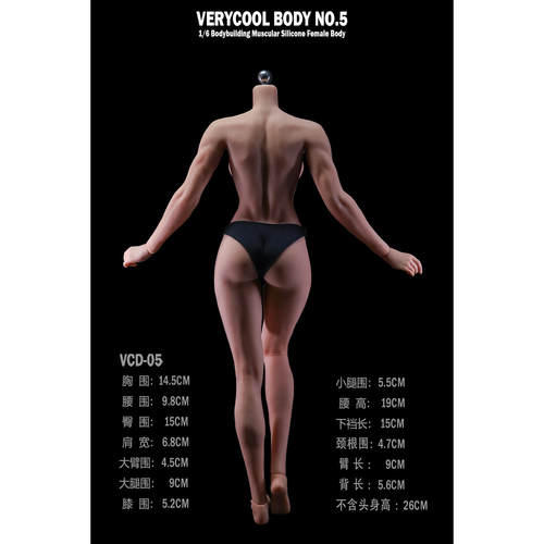 VERYCOOL 1/6 铂金硅胶女素体 健美肌肉体型 VCD-05 补款