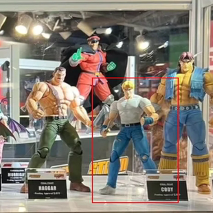 快打旋风 科迪 可动手办 Storm 先行定金 Toys 特拉弗斯