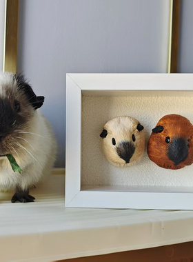 有毛之地定制加州豚鼠荷兰猪汽车风口夹香薰石膏手工制作生日礼物