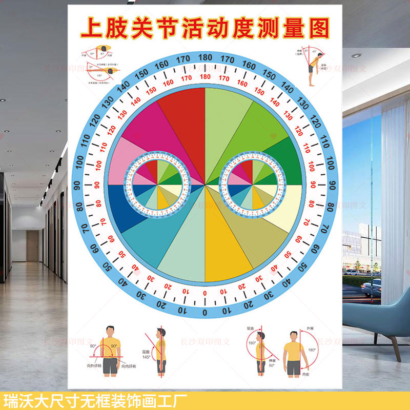 骨科上肢关节活动度检测图装饰画