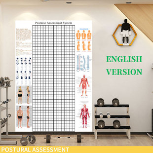 Posture Assessment体态评估表体姿测图Postural Analysis  chart