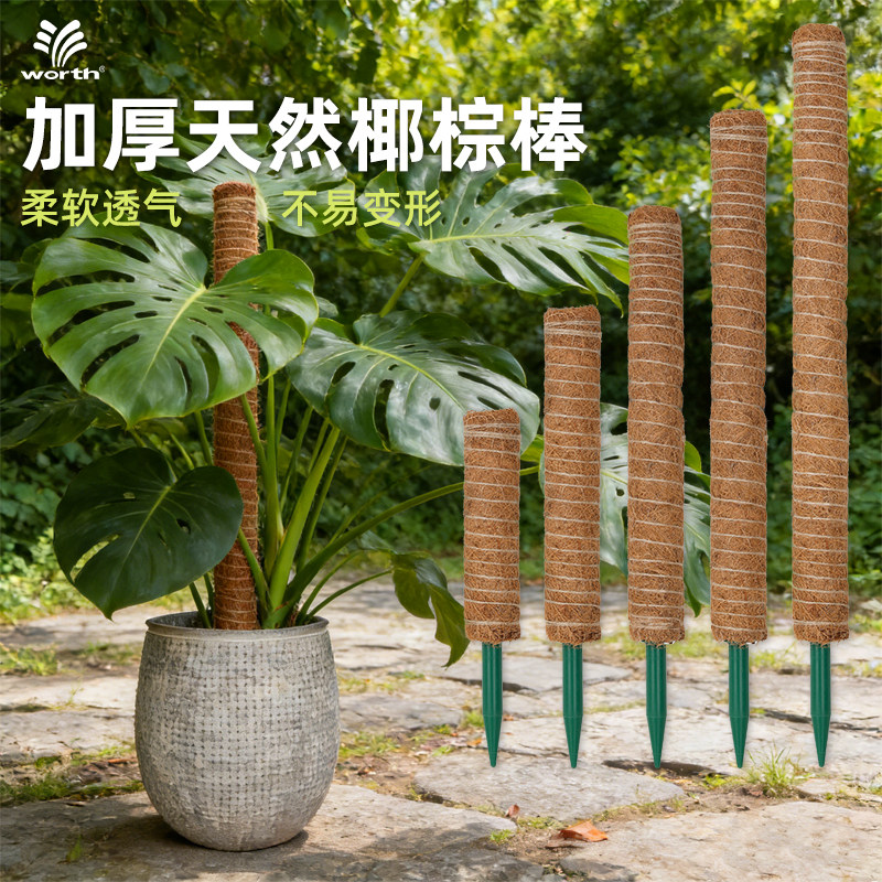 花架龟背竹支撑杆绿萝攀爬柱加厚天然椰棕棒固定架植物爬藤架防倒