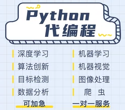 python代编程算法神经网络程序机器视觉代做pytorch深度学习