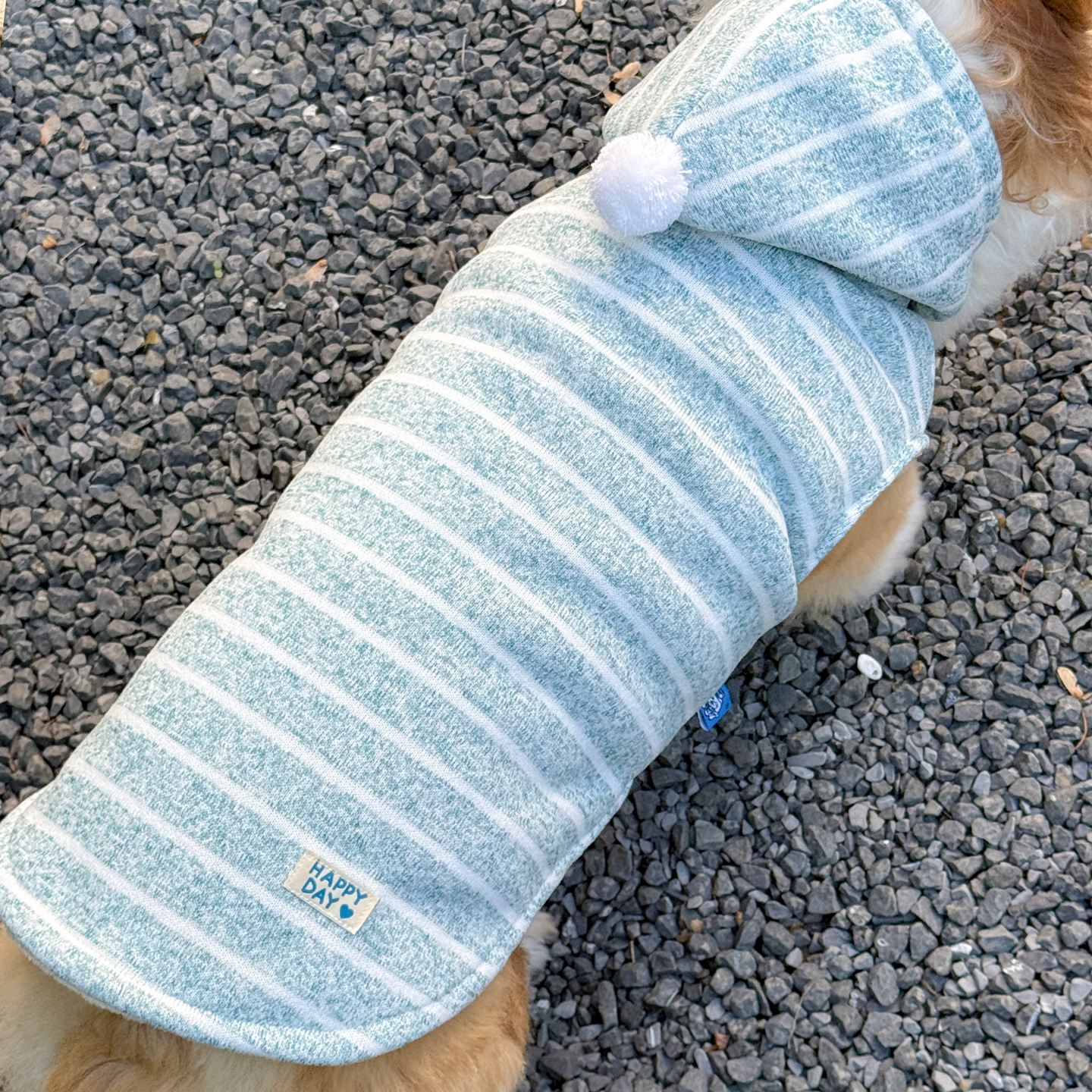 狗狗加绒保暖土松柯基柴犬中小型犬宠物衣服幼犬冬季新款猫咪厚服