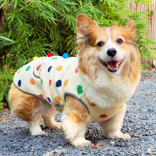 宠物马甲小狗保暖衣服秋季比熊泰迪柯基加厚中小型犬狗冬季狗衣服