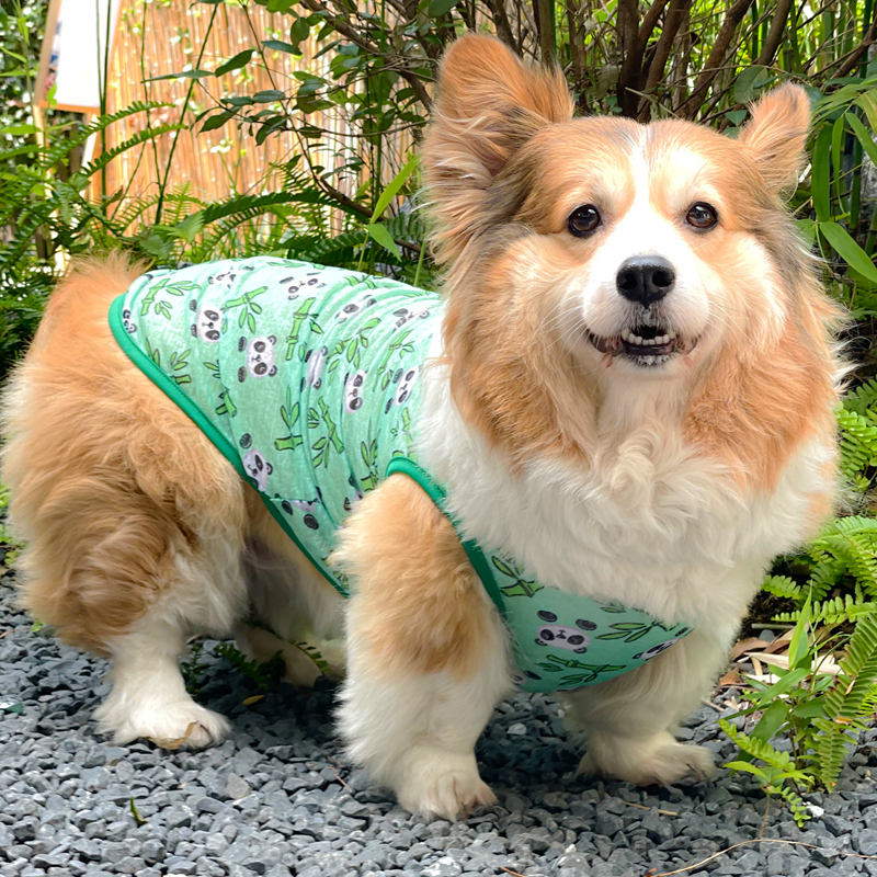 轻薄透气零感穿戴舒适