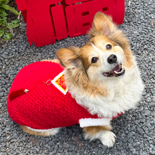 狗狗新年衣服柯基柴犬过年搞怪中型犬秋冬宠物用品猫咪保暖小奶狗