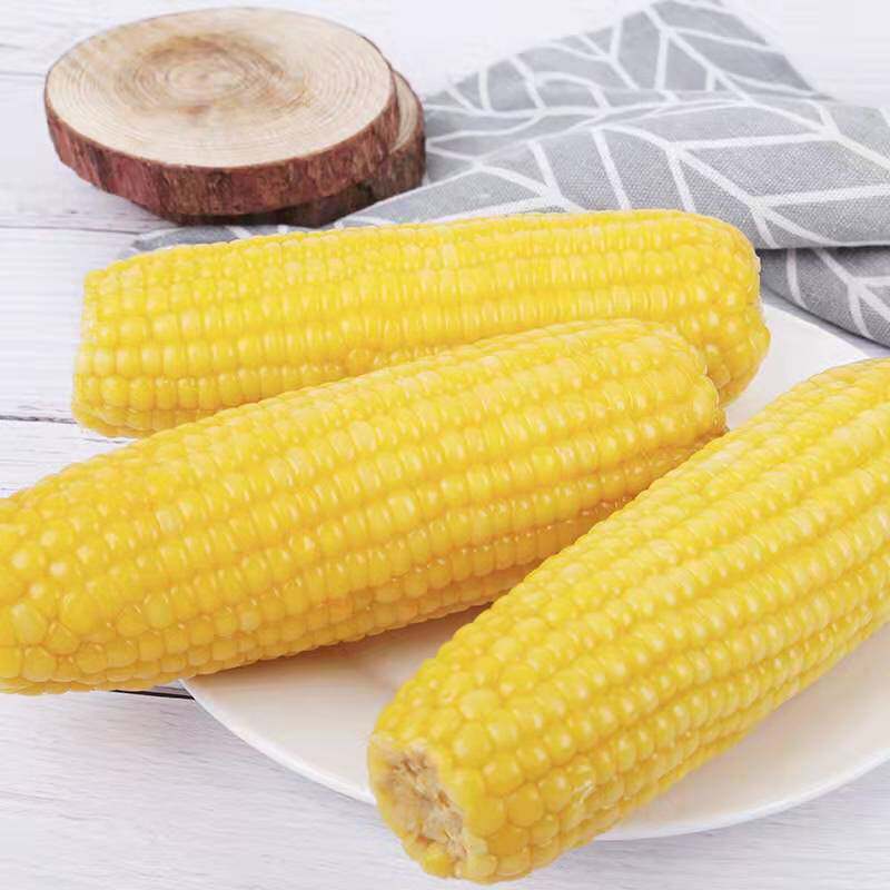 23年8月新货山西非转基因真空甜糯黄玉米7根黄玉米棒软糯
