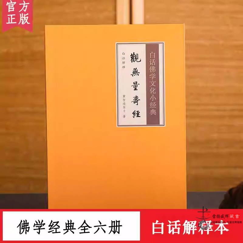 白话解释观无量寿经佛学文化