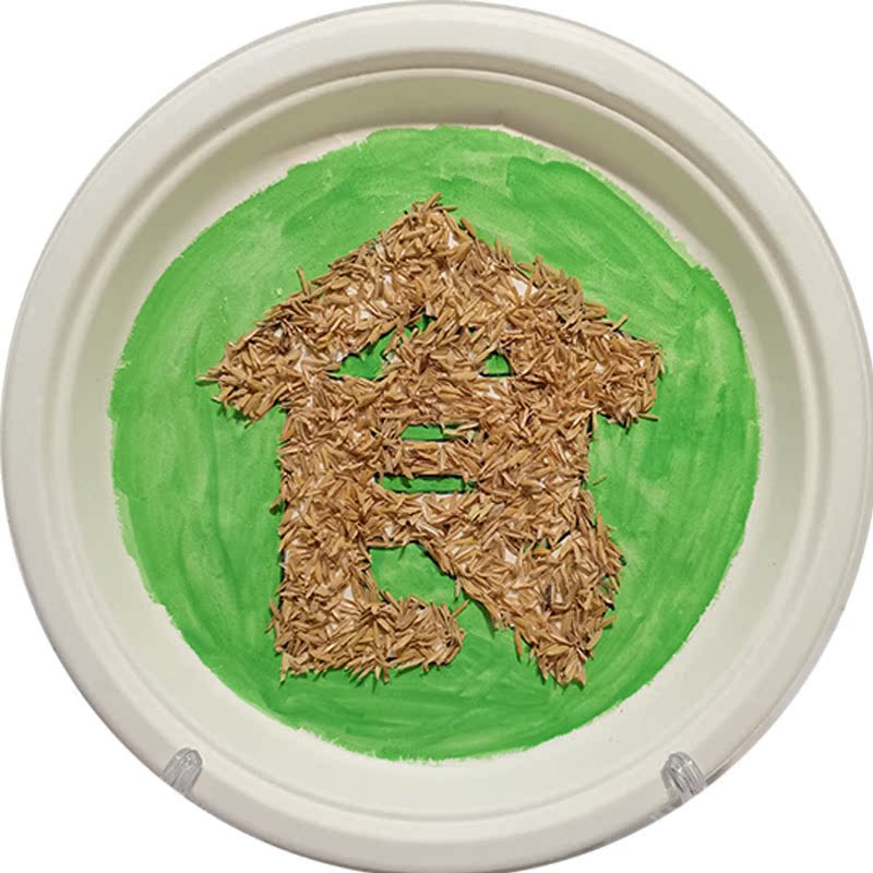 五谷杂粮粘贴画手工diy种子画粮食画节约粮食纸盘画稻谷壳 搜又搜