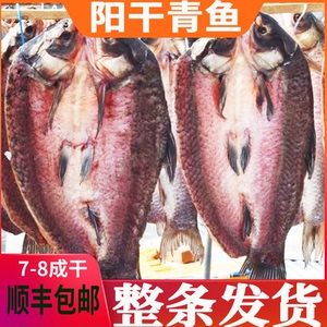 荷辉不咸洪湖腌制青鱼干