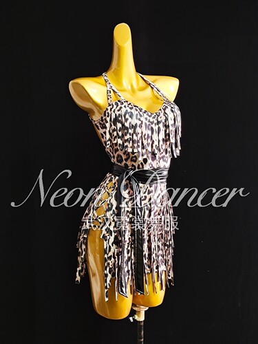 新款专业拉丁舞舞服同款连衣裙