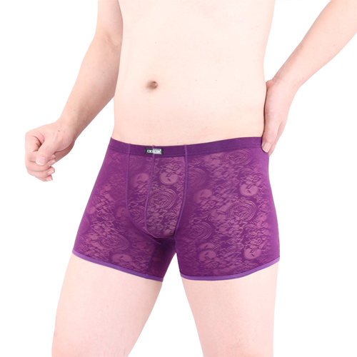 透明贴身囊袋柔软情趣丝滑平角裤