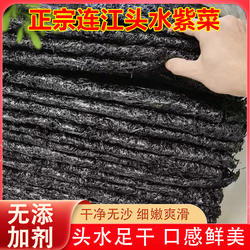 福建特产头水紫菜无沙大片紫菜煮汤海苔干货紫菜蛋花汤