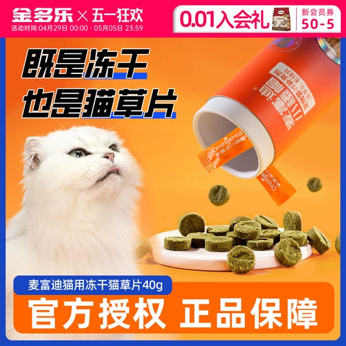 Маленькая оранжевая шляпа с лишние оранжевые шляпы нарезанные нарезанные кошачь