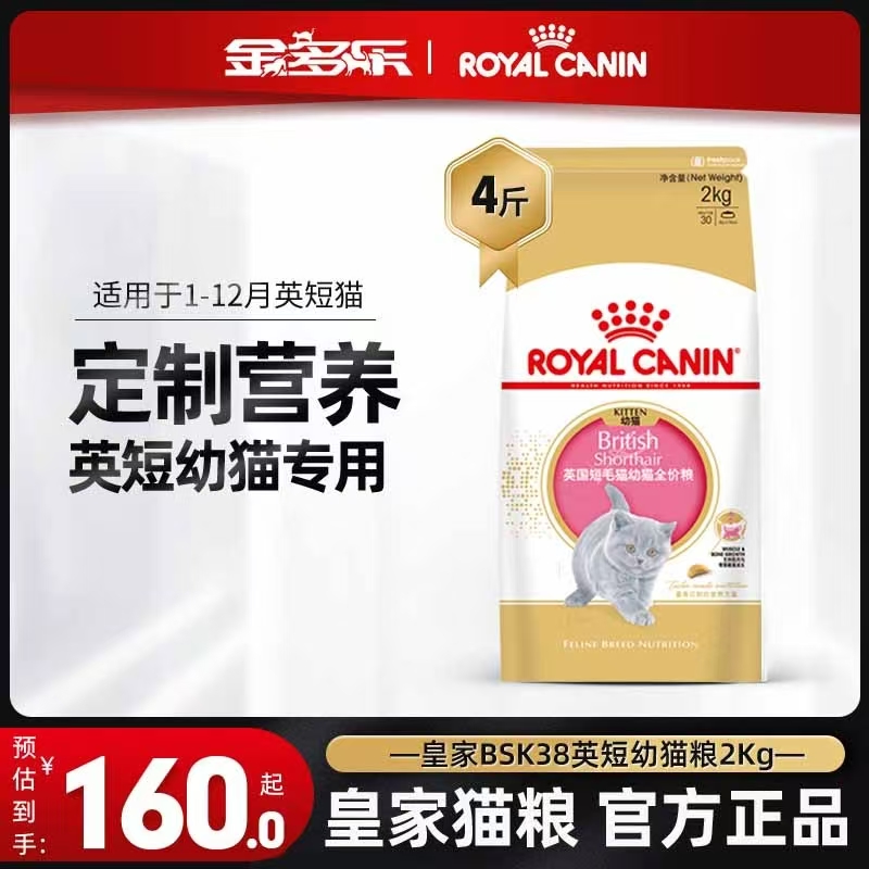 皇家bsk38英短专用幼猫粮营养