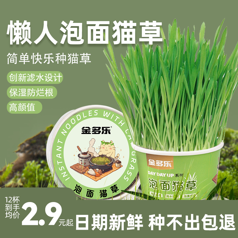 金多乐懒人种植猫草种子盆栽