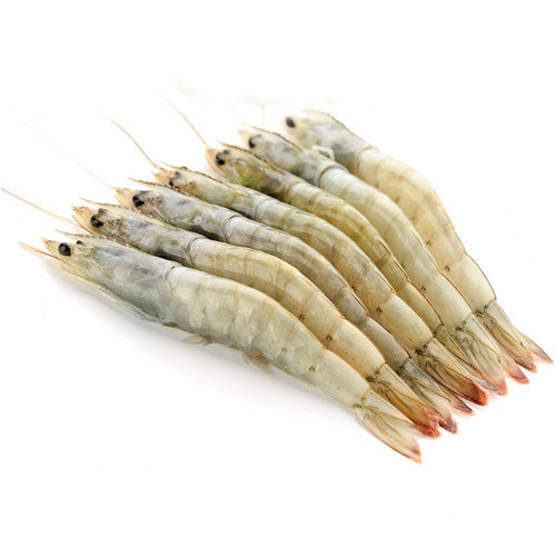 40-50 海水盐冻白虾 对虾 基围虾 整箱3.3斤/盒 自带鲜甜