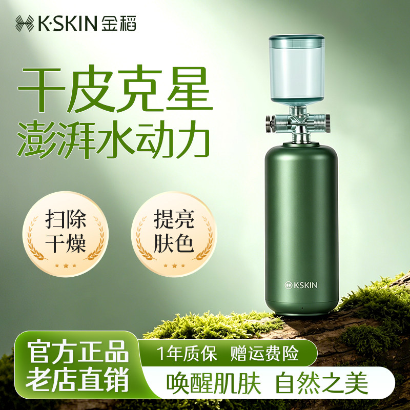金稻注氧仪冷喷补水仪高压手持家用便携小型面部纳米喷雾补水仪器