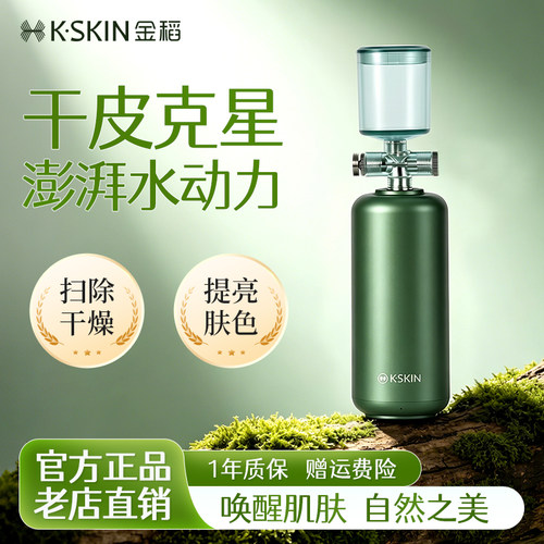 金稻注氧仪纳米喷雾补水仪冷喷机