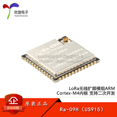 Ra-09H（IN865）LoRa无线模块
