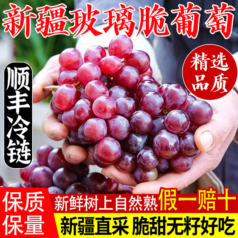 新疆吐鲁番玻璃翠葡萄新鲜应季水果无核白孕妇现摘4斤整箱提子甜 - 实物图