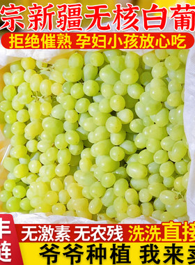 新疆葡萄吐鲁番无核白当季新鲜水果孕妇无籽青提很甜整箱顺丰包邮