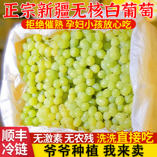 新疆葡萄吐鲁番无核白当季新鲜水果孕妇无籽青提很甜整箱顺丰包邮