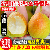 新疆库尔勒香梨水果新鲜大果全母梨9斤顺丰孕妇儿童当季 玉露香梨