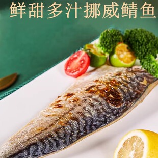 日式 料理新鲜青花鱼片条马鲛鱼鲐鲅鱼片盐烤挪威鲭鱼预制菜半成品