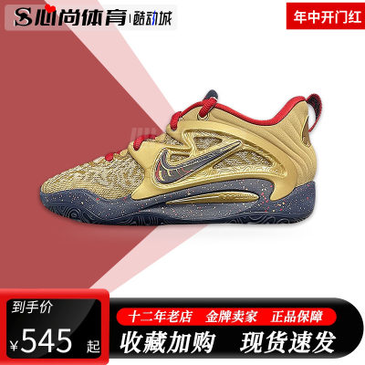 现货！Nike耐克男鞋KD15杜兰特运动训练实战缓震篮球鞋DM1054-700