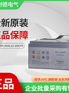 施耐德原装免维护电池12V100AH UPS不间断电源专用M2AL12-100CFR
