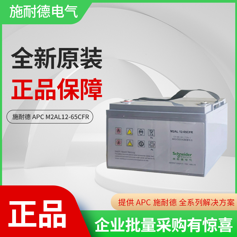 施耐德原装电池12V65AH