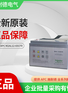 APC施耐德电池原装免维护12V65AH UPS不间断电源专用M2AL12-65CFR
