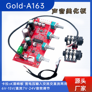 Gold 话筒混响板麦克风卡拉OK前置话筒前级放大PT2399 A163