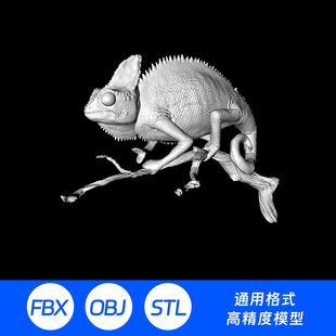 高精3D模型三维建模雕刻打印圆雕写实爬行动物变色龙蜥蜴爬虫A19