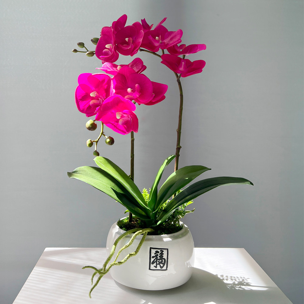 仿真蝴蝶兰花手感高品质花艺摆件