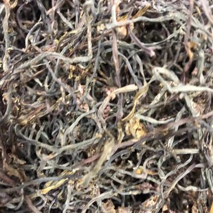 2025年新晒食用新货野生山野菜大全侯腿干一斤装包邮东北辽宁特产